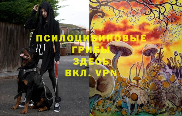 соль курить ск Армянск