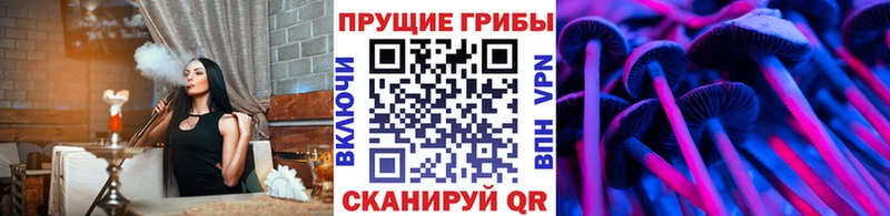Псилоцибиновые грибы Cubensis  Семикаракорск 